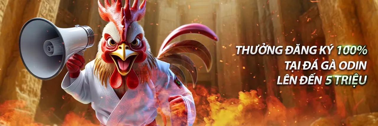 Đá gà trực tuyến sôi động tại Shbet trang chủ